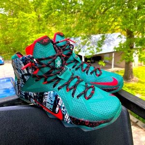 Nike Lebron 12 Arkon Birch 2014